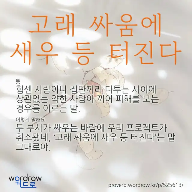 “고래 싸움에 새우 등 터진다” 글씨와 뜻·예문이 완성된 속담 영상 포스터