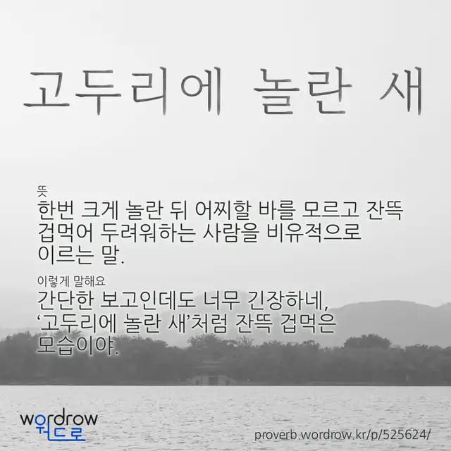 “고두리에 놀란 새” 글씨와 뜻·예문이 완성된 속담 영상 포스터