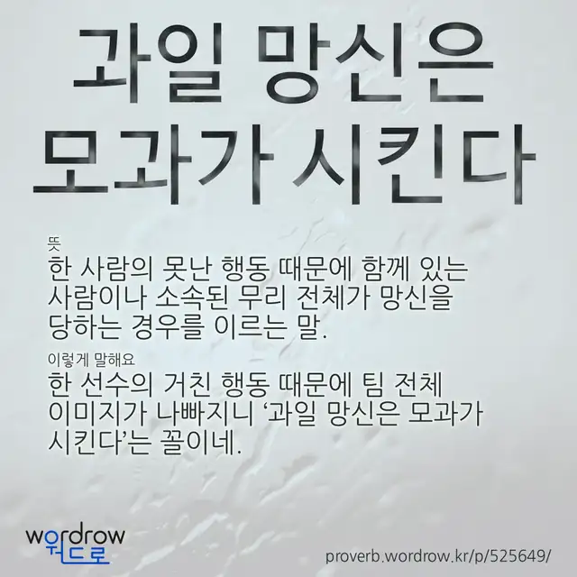 “과일 망신은 모과가 시킨다” 글씨와 뜻·예문이 완성된 속담 영상 포스터