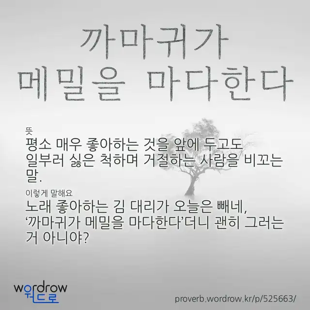 “까마귀가 메밀을 마다한다” 글씨와 뜻·예문이 완성된 속담 영상 포스터