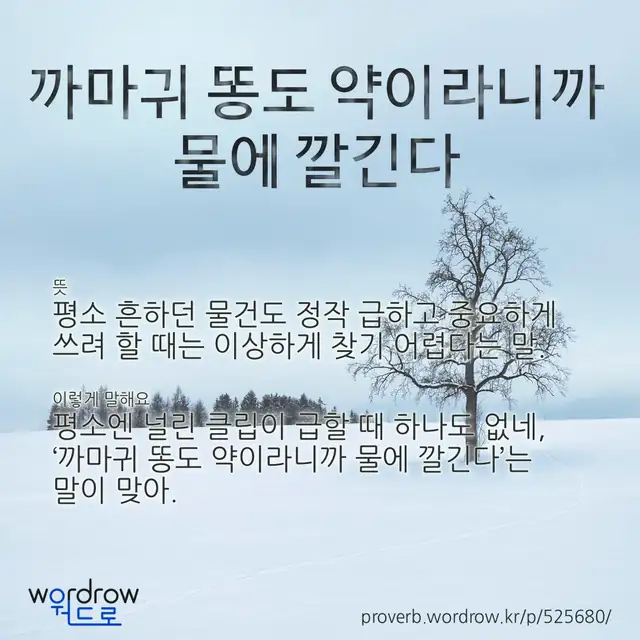 “까마귀 똥도 약이라니까 물에 깔긴다” 글씨와 뜻·예문이 완성된 속담 영상 포스터