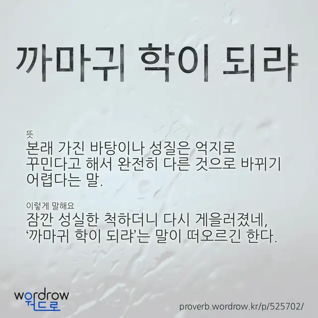 “까마귀 학이 되랴” 글씨와 뜻·예문이 완성된 속담 영상 포스터