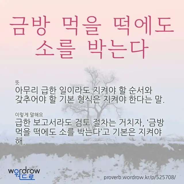 “금방 먹을 떡에도 소를 박는다” 글씨와 뜻·예문이 완성된 속담 영상 포스터