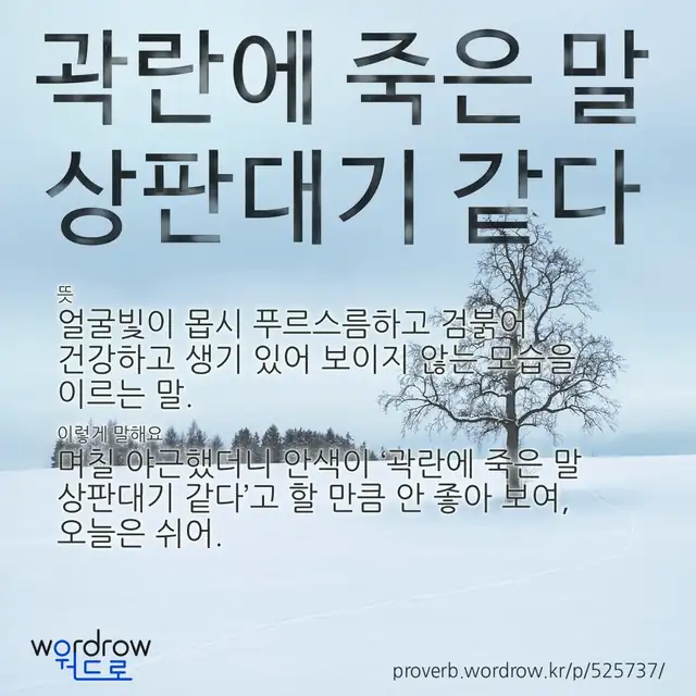 “곽란에 죽은 말 상판대기 같다” 글씨와 뜻·예문이 완성된 속담 영상 포스터