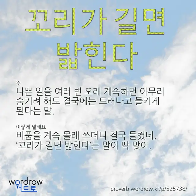 “꼬리가 길면 밟힌다” 글씨와 뜻·예문이 완성된 속담 영상 포스터