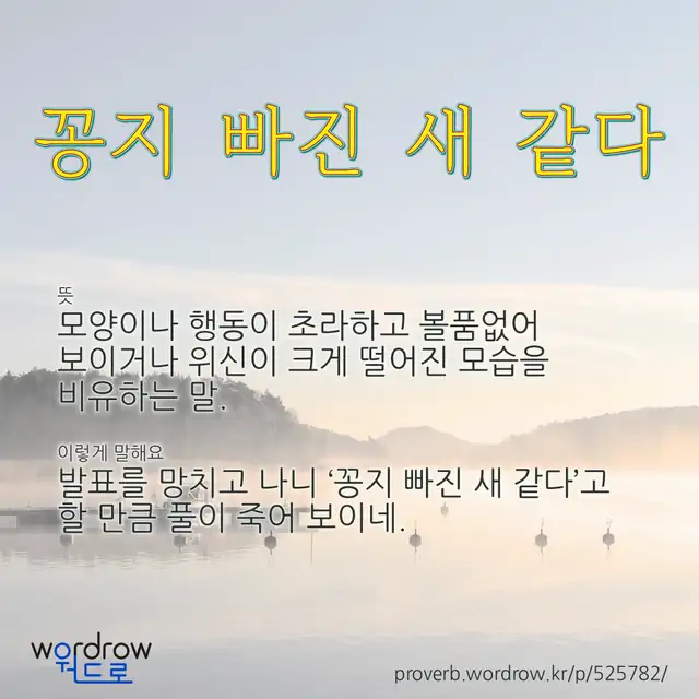 “꽁지 빠진 새 같다” 글씨와 뜻·예문이 완성된 속담 영상 포스터