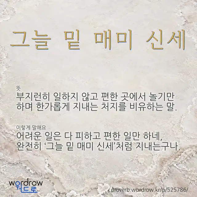 “그늘 밑 매미 신세” 글씨와 뜻·예문이 완성된 속담 영상 포스터