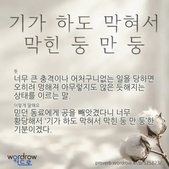 “기가 하도 막혀서 막힌 둥 만 둥” 글씨와 뜻·예문이 완성된 속담 영상 포스터