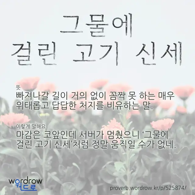 “그물에 걸린 고기 신세” 글씨와 뜻·예문이 완성된 속담 영상 포스터