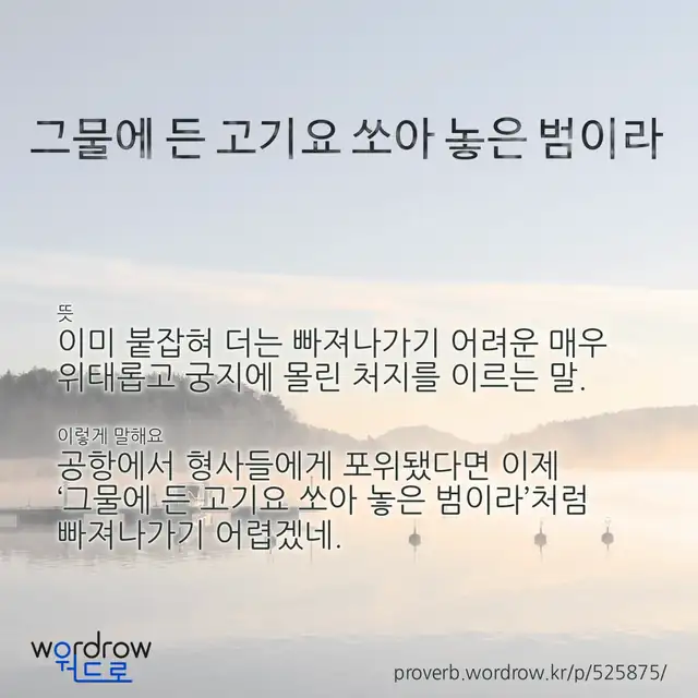 “그물에 든 고기요 쏘아 놓은 범이라” 글씨와 뜻·예문이 완성된 속담 영상 포스터