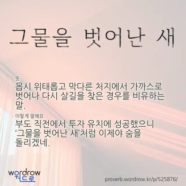 “그물을 벗어난 새” 글씨와 뜻·예문이 완성된 속담 영상 포스터