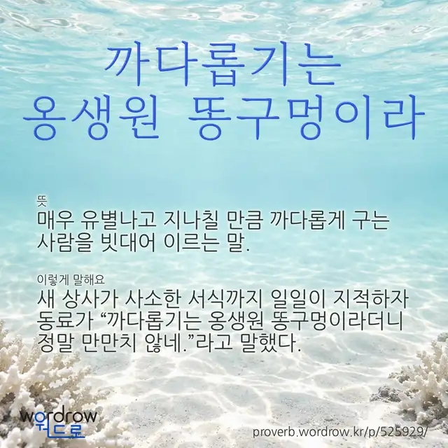 “까다롭기는 옹생원 똥구멍이라” 글씨와 뜻·예문이 완성된 속담 영상 포스터