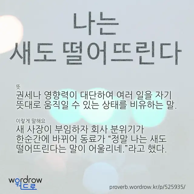“나는 새도 떨어뜨린다” 글씨와 뜻·예문이 완성된 속담 영상 포스터
