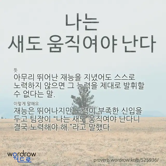 “나는 새도 움직여야 난다” 글씨와 뜻·예문이 완성된 속담 영상 포스터