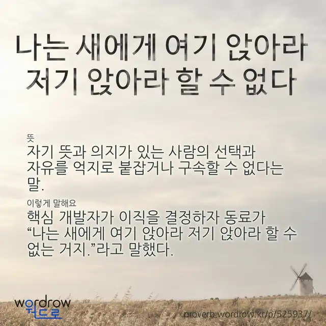“나는 새에게 여기 앉아라 저기 앉아라 할 수 없다” 글씨와 뜻·예문이 완성된 속담 영상 포스터
