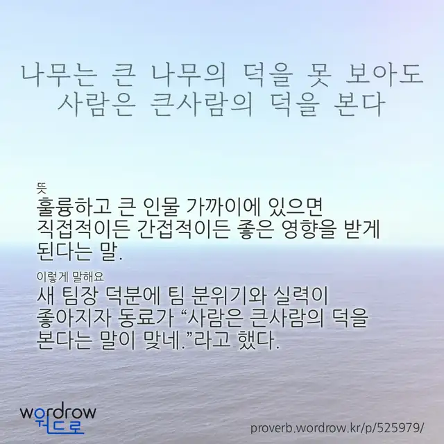 “나무는 큰 나무의 덕을 못 보아도 사람은 큰사람의 덕을 본다” 글씨와 뜻·예문이 완성된 속담 영상 포스터