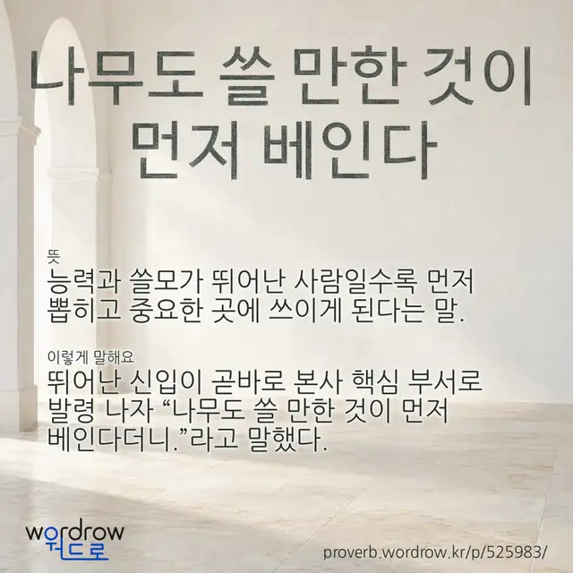 “나무도 쓸 만한 것이 먼저 베인다” 글씨와 뜻·예문이 완성된 속담 영상 포스터