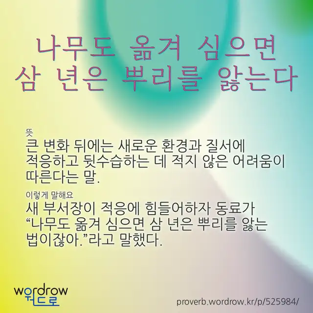 “나무도 옮겨 심으면 삼 년은 뿌리를 앓는다” 글씨와 뜻·예문이 완성된 속담 영상 포스터