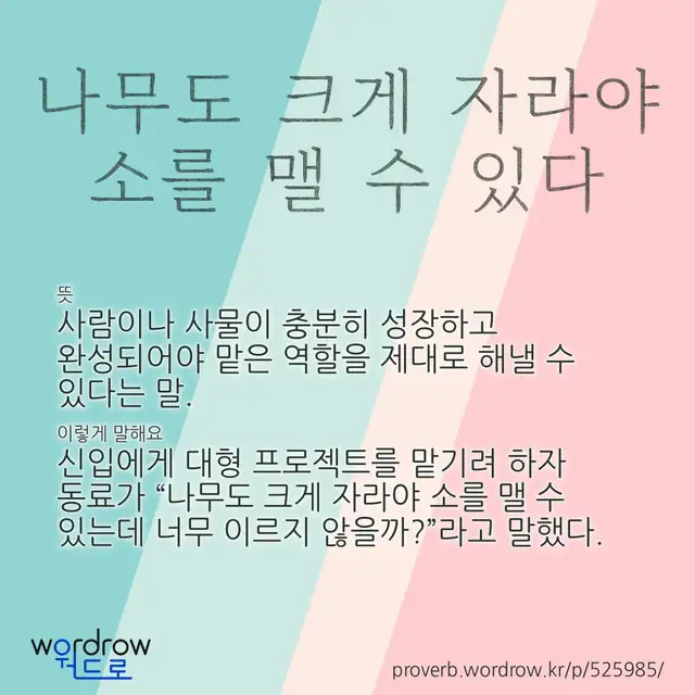 “나무도 크게 자라야 소를 맬 수 있다” 글씨와 뜻·예문이 완성된 속담 영상 포스터
