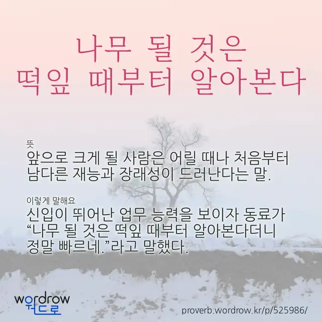 “나무 될 것은 떡잎 때부터 알아본다” 글씨와 뜻·예문이 완성된 속담 영상 포스터