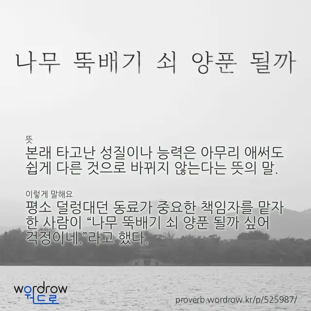 “나무 뚝배기 쇠 양푼 될까” 글씨와 뜻·예문이 완성된 속담 영상 포스터