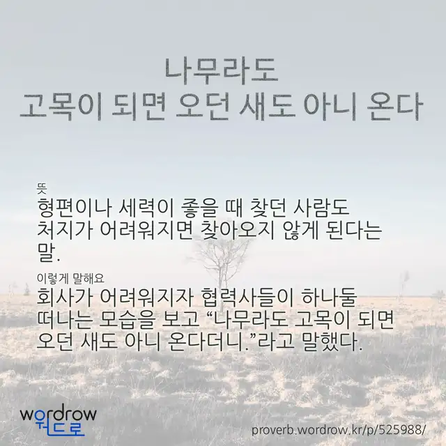 “나무라도 고목이 되면 오던 새도 아니 온다” 글씨와 뜻·예문이 완성된 속담 영상 포스터