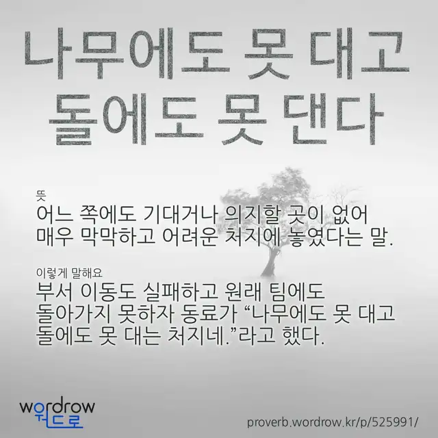 “나무에도 못 대고 돌에도 못 댄다” 글씨와 뜻·예문이 완성된 속담 영상 포스터