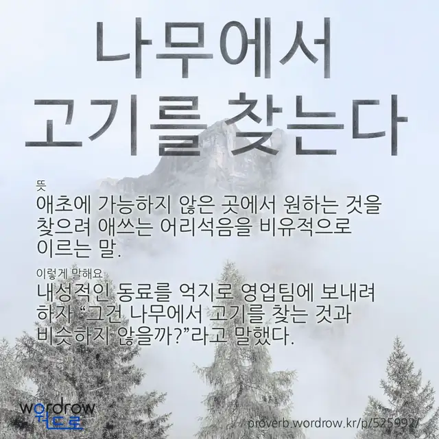 “나무에서 고기를 찾는다” 글씨와 뜻·예문이 완성된 속담 영상 포스터
