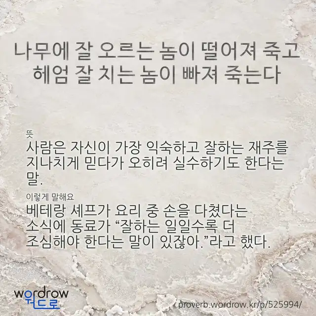 “나무에 잘 오르는 놈이 떨어져 죽고 헤엄 잘 치는 놈이 빠져 죽는다” 글씨와 뜻·예문이 완성된 속담 영상 포스터