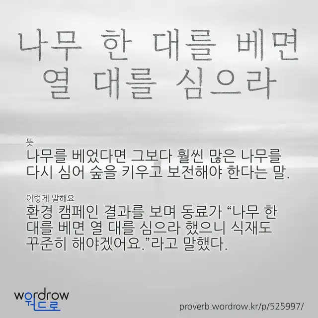 “나무 한 대를 베면 열 대를 심으라” 글씨와 뜻·예문이 완성된 속담 영상 포스터