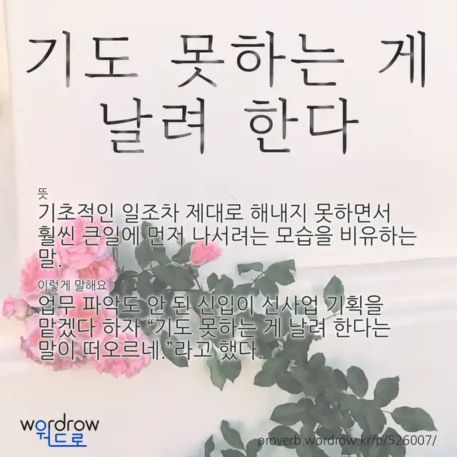 “기도 못하는 게 날려 한다” 글씨와 뜻·예문이 완성된 속담 영상 포스터