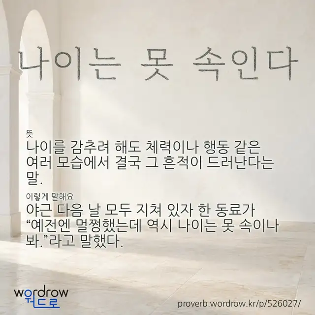 “나이는 못 속인다” 글씨와 뜻·예문이 완성된 속담 영상 포스터
