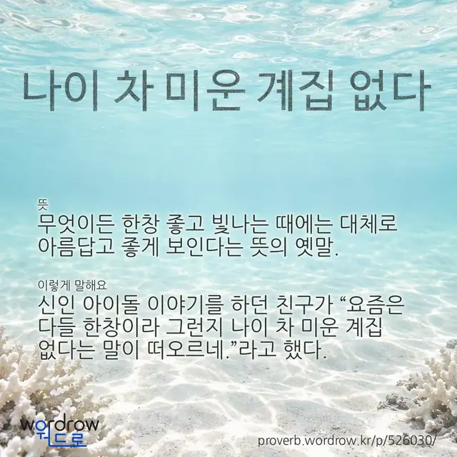 “나이 차 미운 계집 없다” 글씨와 뜻·예문이 완성된 속담 영상 포스터