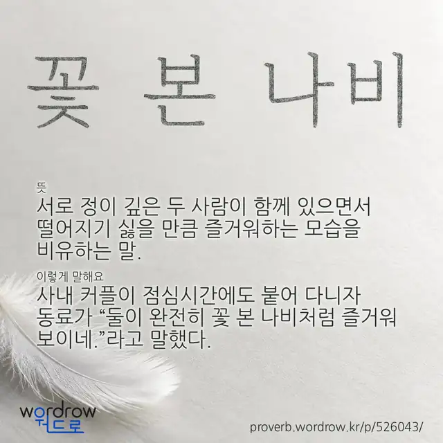 “꽃 본 나비” 글씨와 뜻·예문이 완성된 속담 영상 포스터