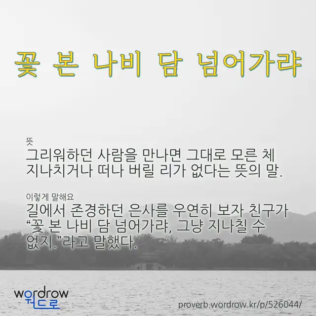“꽃 본 나비 담 넘어가랴” 글씨와 뜻·예문이 완성된 속담 영상 포스터
