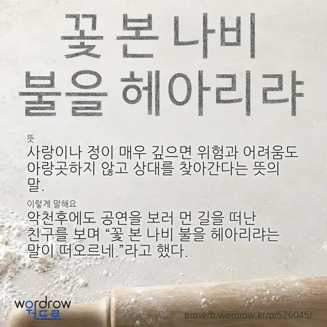 “꽃 본 나비 불을 헤아리랴” 글씨와 뜻·예문이 완성된 속담 영상 포스터