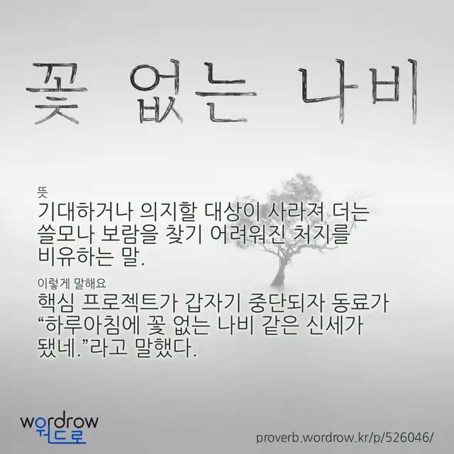 “꽃 없는 나비” 글씨와 뜻·예문이 완성된 속담 영상 포스터