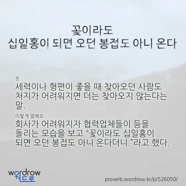 “꽃이라도 십일홍이 되면 오던 봉접도 아니 온다” 글씨와 뜻·예문이 완성된 속담 영상 포스터