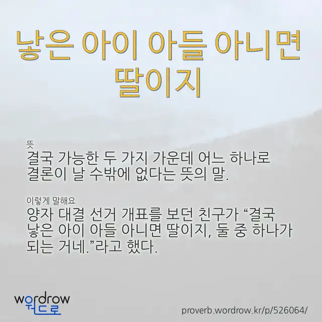 “낳은 아이 아들 아니면 딸이지” 글씨와 뜻·예문이 완성된 속담 영상 포스터