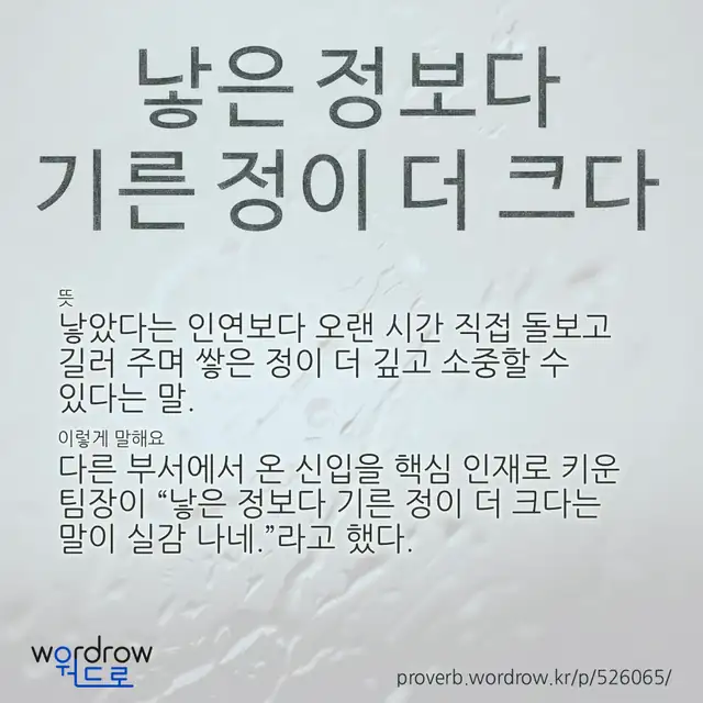 “낳은 정보다 기른 정이 더 크다” 글씨와 뜻·예문이 완성된 속담 영상 포스터