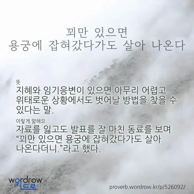 “꾀만 있으면 용궁에 잡혀갔다가도 살아 나온다” 글씨와 뜻·예문이 완성된 속담 영상 포스터