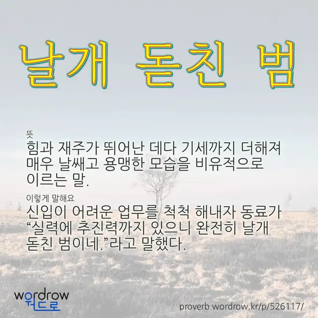 “날개 돋친 범” 글씨와 뜻·예문이 완성된 속담 영상 포스터