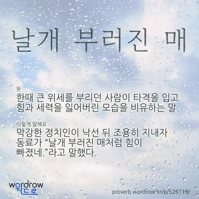 “날개 부러진 매” 글씨와 뜻·예문이 완성된 속담 영상 포스터