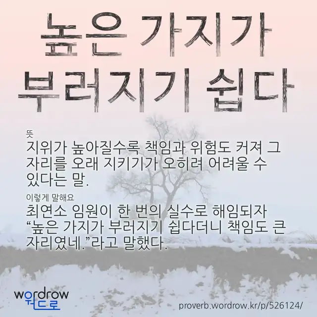 “높은 가지가 부러지기 쉽다” 글씨와 뜻·예문이 완성된 속담 영상 포스터
