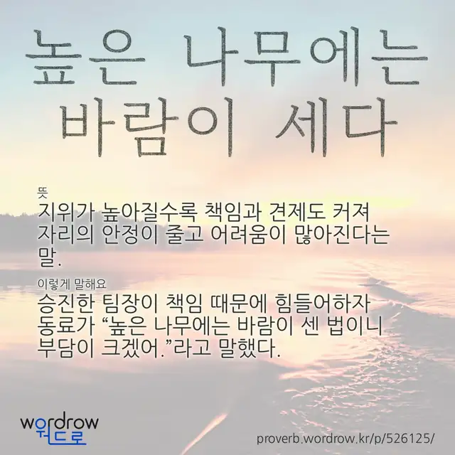 “높은 나무에는 바람이 세다” 글씨와 뜻·예문이 완성된 속담 영상 포스터