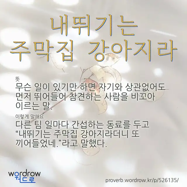 “내뛰기는 주막집 강아지라” 글씨와 뜻·예문이 완성된 속담 영상 포스터