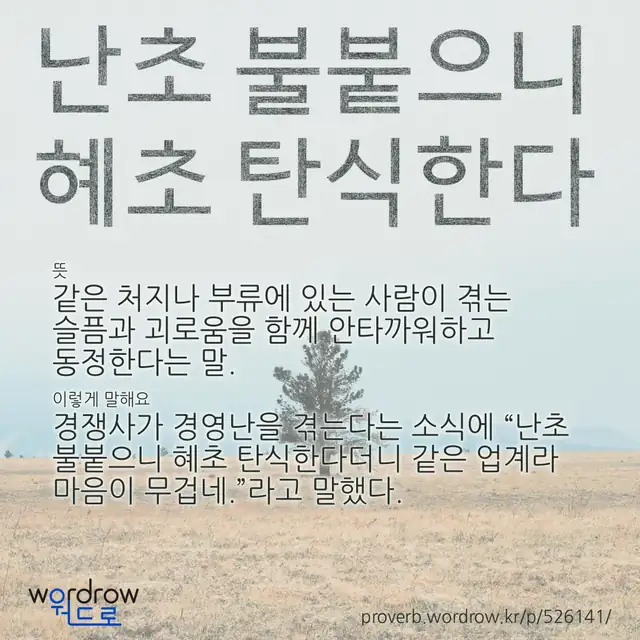 “난초 불붙으니 혜초 탄식한다” 글씨와 뜻·예문이 완성된 속담 영상 포스터