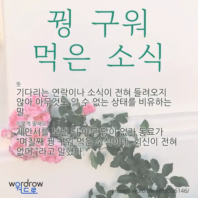 “꿩 구워 먹은 소식” 글씨와 뜻·예문이 완성된 속담 영상 포스터