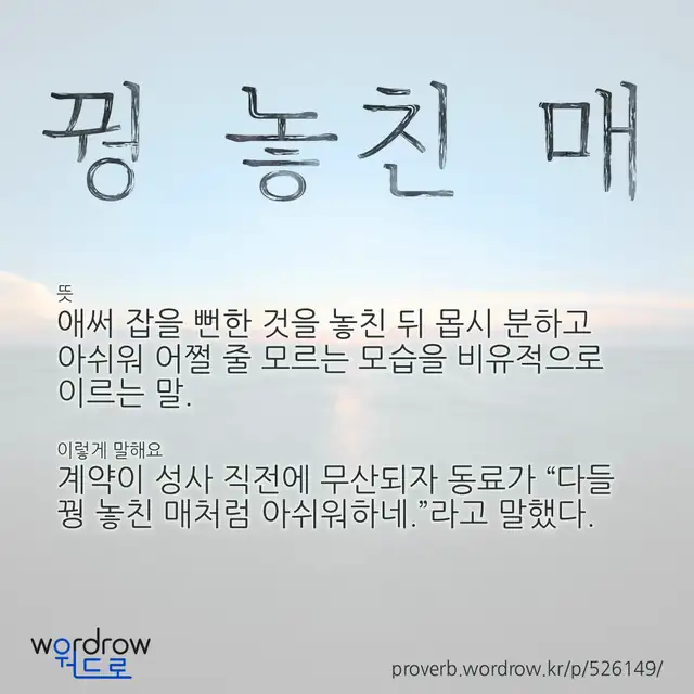 “꿩 놓친 매” 글씨와 뜻·예문이 완성된 속담 영상 포스터
