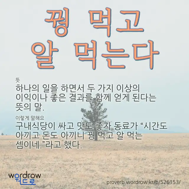 “꿩 먹고 알 먹는다” 글씨와 뜻·예문이 완성된 속담 영상 포스터